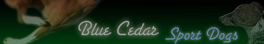 Blue Cedar home page link